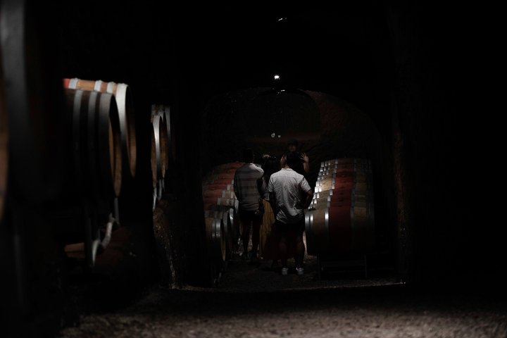 Winery Tour & Wine Tasting with Cheese & Charcuterie