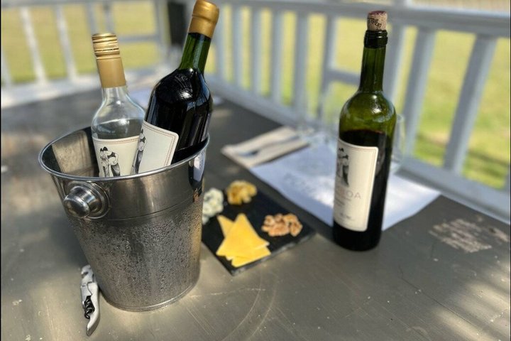 Enjoy a Rural Experience in a Vineyard near Buenos Aires