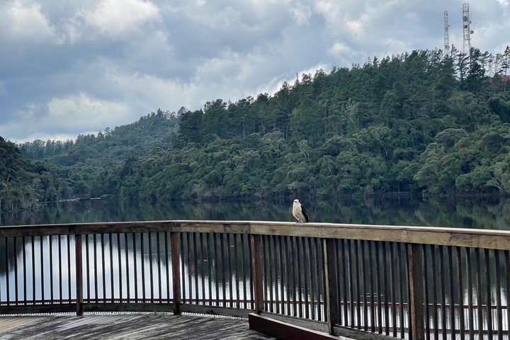 City tour + Amantikir Park in Campos do Jordão