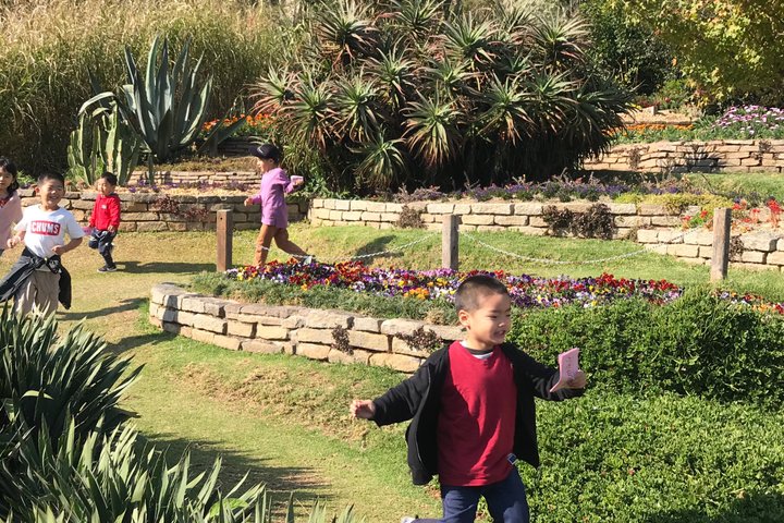 City tour + Amantikir Park in Campos do Jordão