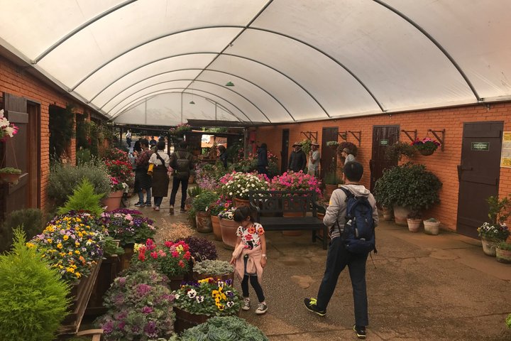 City tour + Amantikir Park in Campos do Jordão