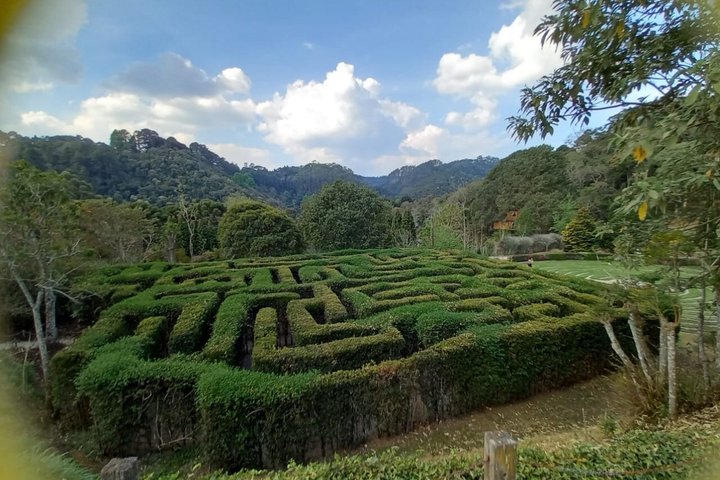 City tour + Amantikir Park in Campos do Jordão