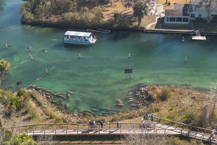 Crystal River Manatee Viewing & Sightseeing Boat Tour