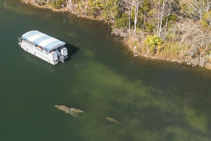 Crystal River Manatee Viewing & Sightseeing Boat Tour