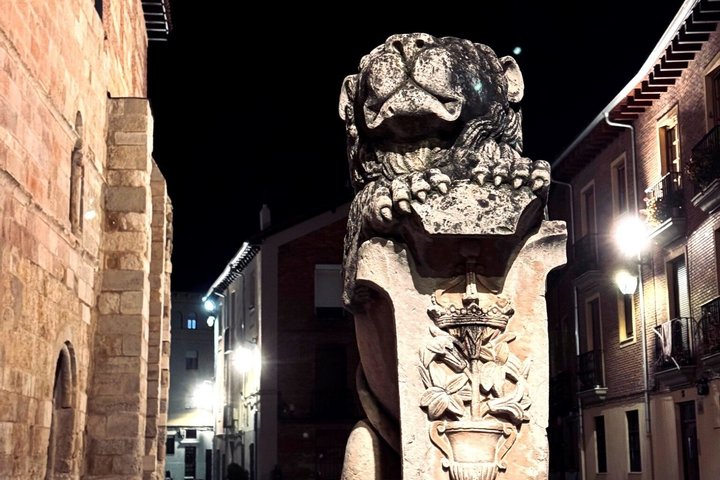 Riddles and Mysteries of the Night Lion