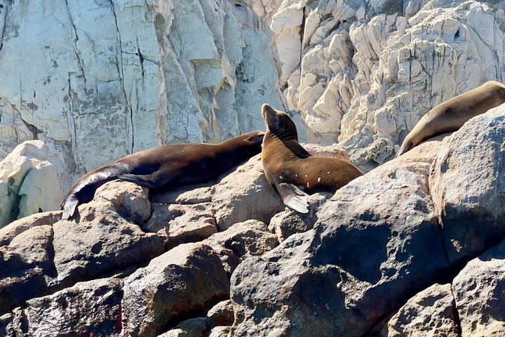 Land’s End Experience – Arch, Beaches & Marine Life