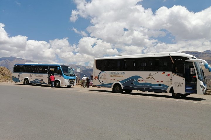 Colca Full Day Tour