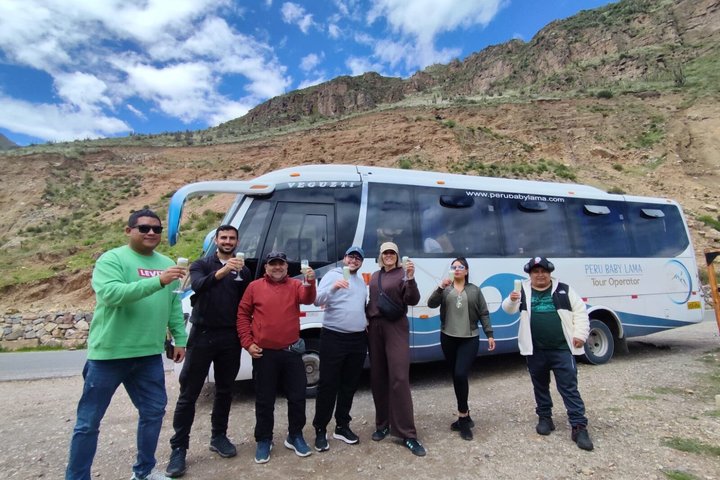 Colca Full Day Tour