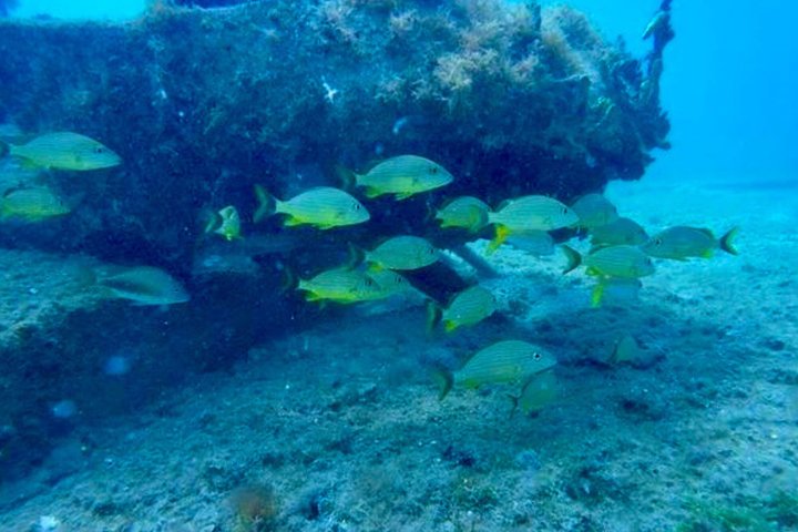 SeaTrek Tour St. Maarten