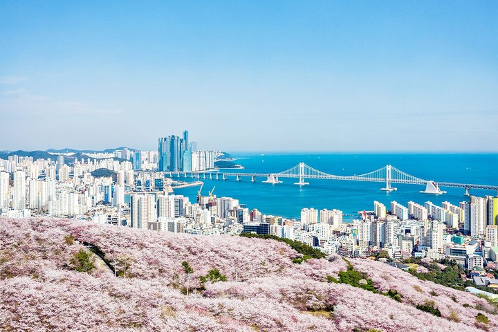 Busan Top Coastal Highlights with Gamcheon Village & Sky Capsule