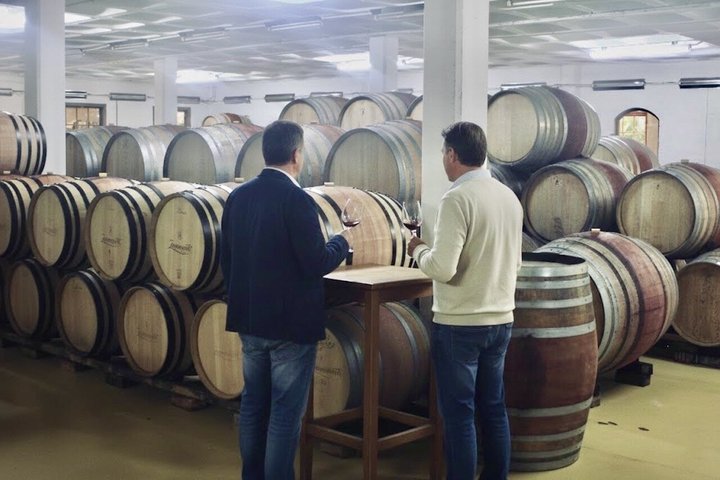 Full‑Day Stellenbosch and Franschhoek Wine Tour from Cape Town