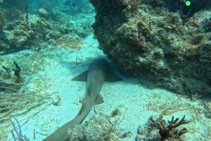 Culebra Snorkeling and Beach Day Tour All Inclusive