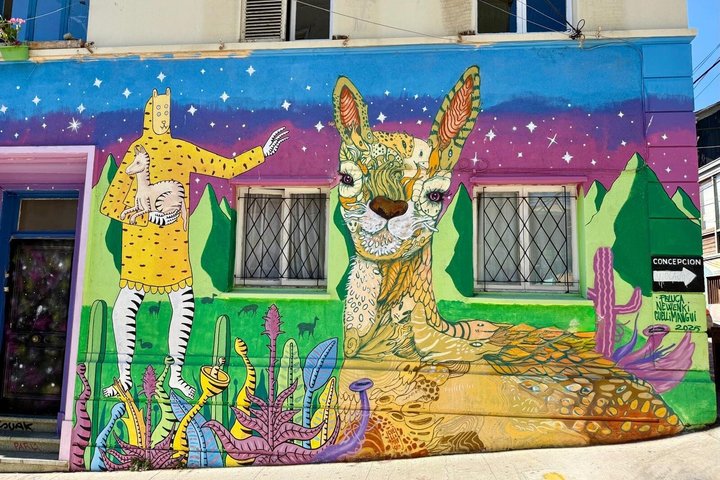 Premium Valparaiso and Vina del Mar Tour from Santiago