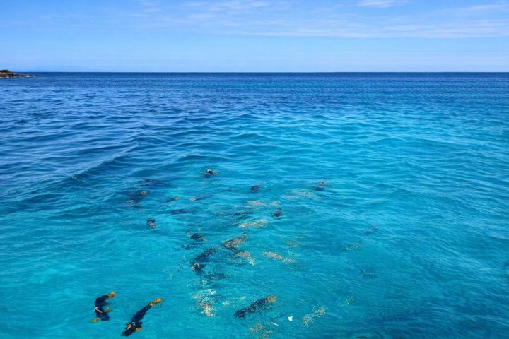 Full Day Tour Pinzon Island + La Fe/Las Palmas - Snorkeling & Fishing