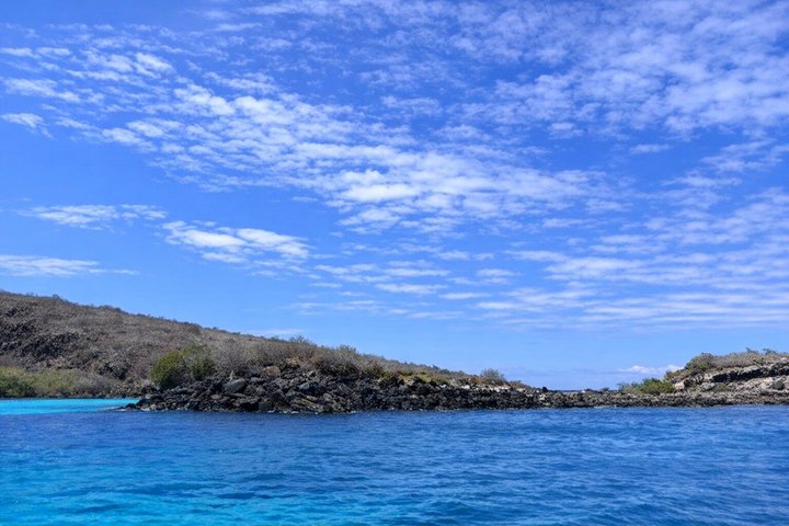 Full Day Tour Pinzon Island + La Fe/Las Palmas - Snorkeling & Fishing