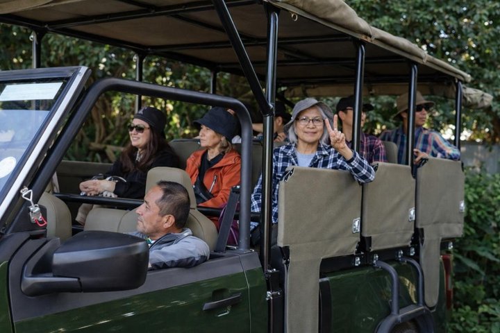 2 Day Schotia Safari Tour in Port Elizabeth