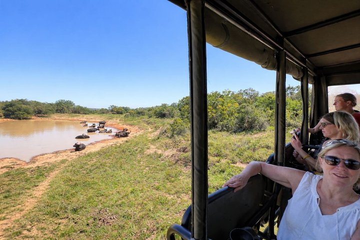2 Days Addo Elephant and Schotia Safari from Port Elizabeth