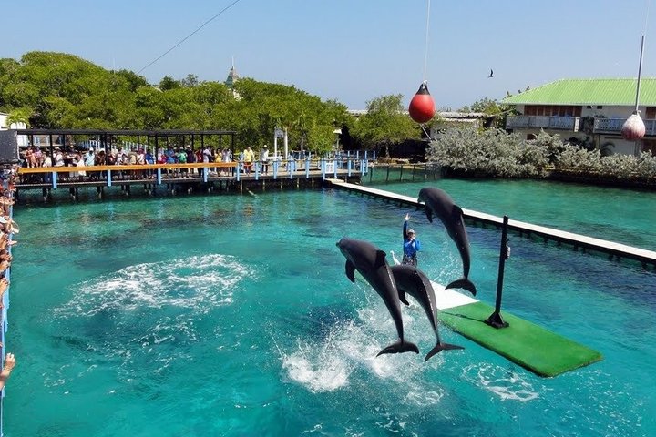 4 Islands Tour Cartagena with Snorkel, Cholon & Lunch
