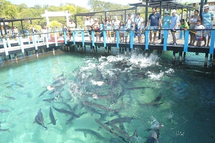 4 Islands Tour Cartagena with Snorkel, Cholon & Lunch