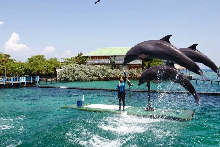 4 Islands Tour Cartagena with Snorkel, Cholon & Lunch