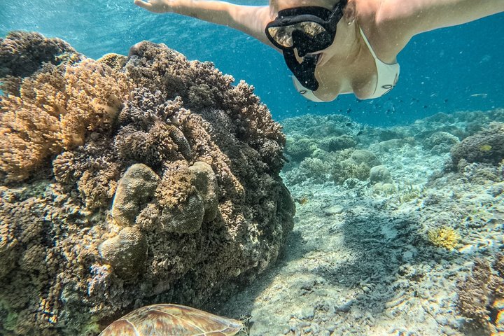 Private Snorkeling Gili Island Including GoPro Camera