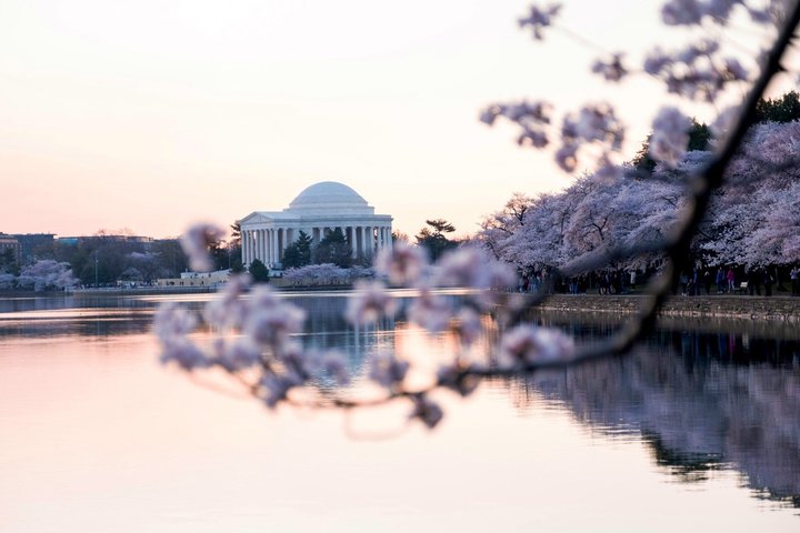 DC Monuments Night Tour with 10+ Stops, National Mall, Tickets