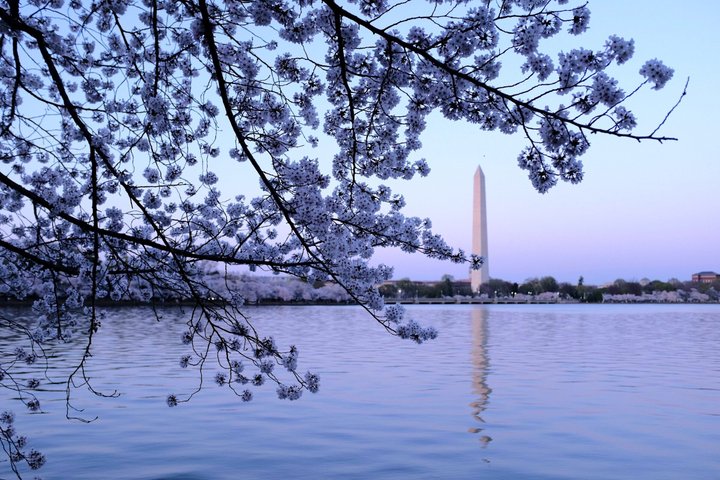 DC Monuments Night Tour with 10+ Stops, National Mall, Tickets