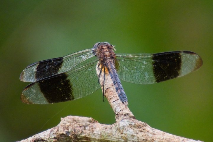 6-Day Amazon Odyssey: Private Amacayacu Ancestral Expedition