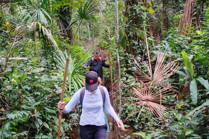 6-Day Amazon Odyssey: Private Amacayacu Ancestral Expedition