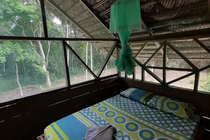 6-Day Amazon Odyssey: Private Amacayacu Ancestral Expedition