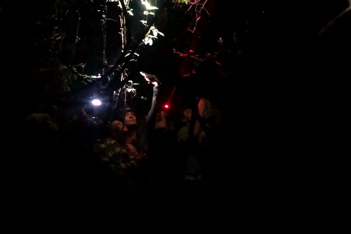 Sigiriya Loris Night Walk Experience with Local Guide