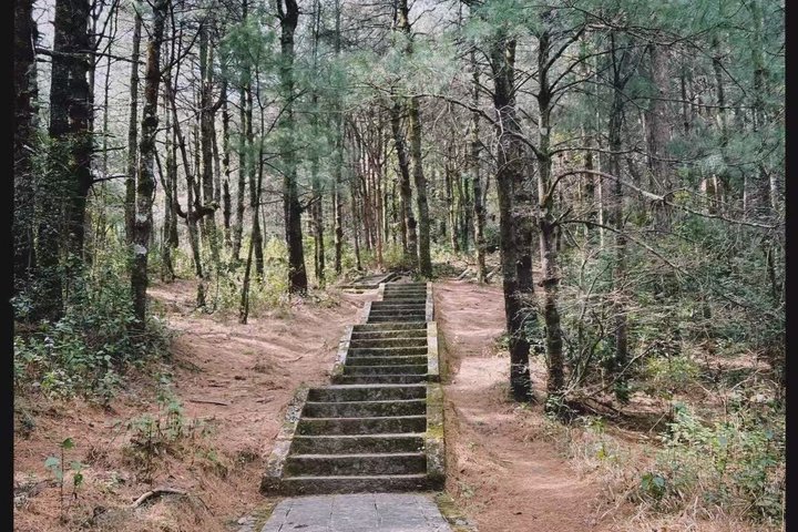 Cangshan Mountain hike and organic homemade dinner