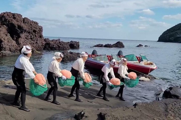 Jeju Customized Private Car Tour