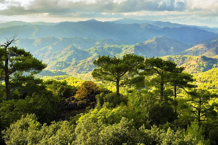 From Larnaca, Ayia Napa, Protaras: Nicosia and Troodos Mountains