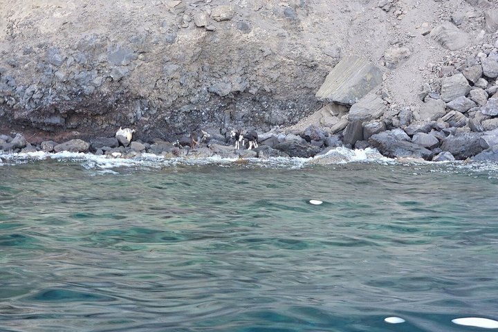 Volcano Island Private Boat Tour from Lipari/Volcano 4/8h