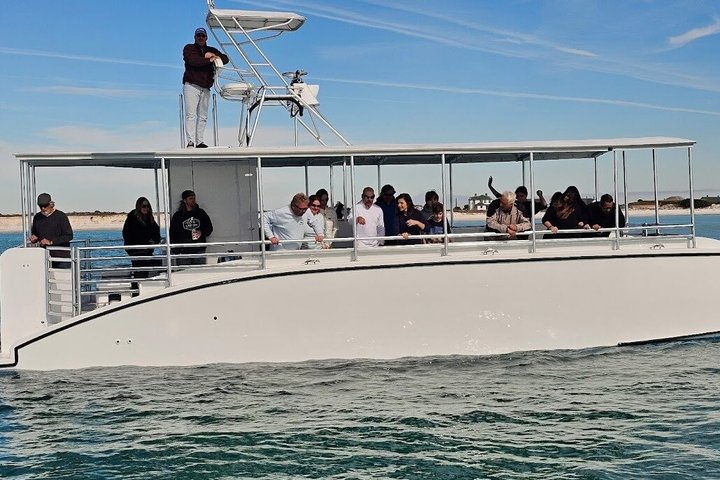 Pensacola Beach Jolly Dolphin Cruise and Scenic Bay Tour