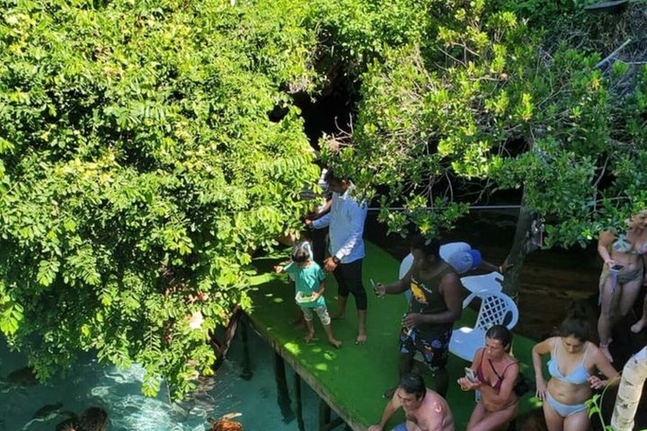 Swimming with Sea Turtles and Jozani Forest in Zanzibar