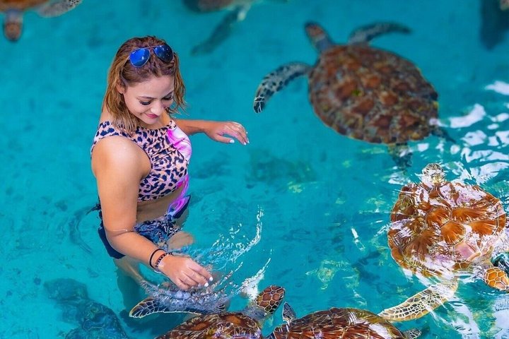Swimming with Sea Turtles and Jozani Forest in Zanzibar