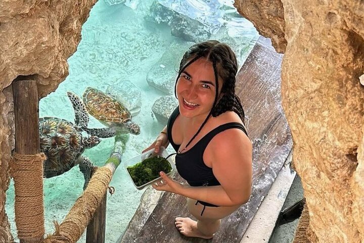 Swimming with Sea Turtles and Jozani Forest in Zanzibar