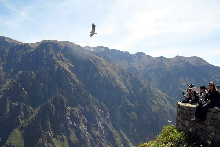 3-Day Colca Canyon trek with Professional Guide