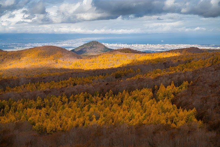 Aomori: Private Custom Tour with Local Guide