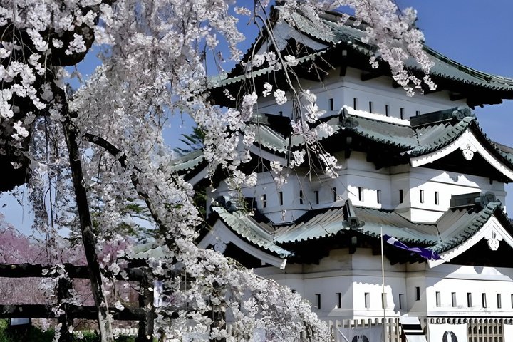 Aomori: Private Custom Tour with Local Guide