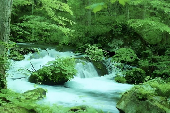 Aomori: Private Custom Tour with Local Guide