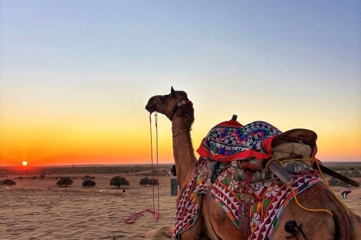 Nomadic Non-Touristic Overnight Tour & camel Safari