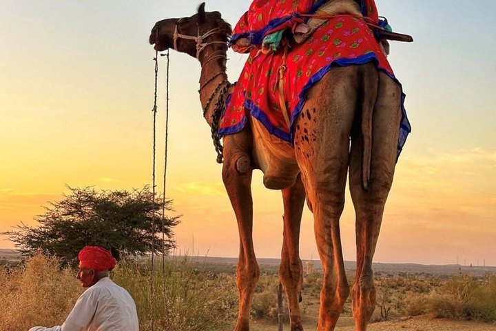Nomadic Non-Touristic Overnight Tour & camel Safari