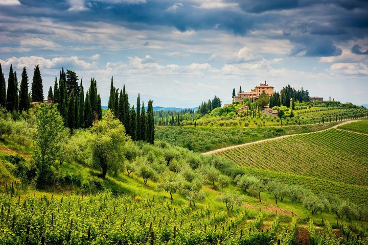 From Siena Best of Tuscany Wines and Lunch in Montepulciano