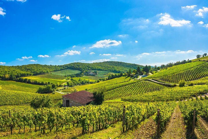 From Siena Best of Tuscany Wines and Lunch in Montepulciano