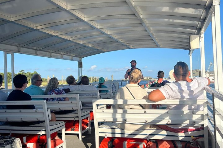 Wild Dolphin Tours and Sunset Cruises in Outer Banks, NC