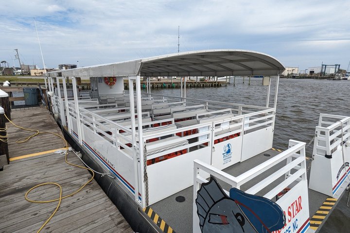 Wild Dolphin Tours and Sunset Cruises in Outer Banks, NC