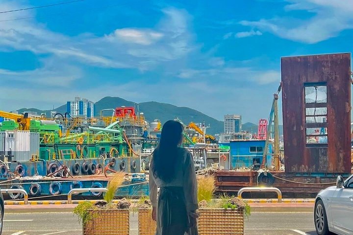 Private Busan Tour - Explore Landmarks with a Licensed Guide